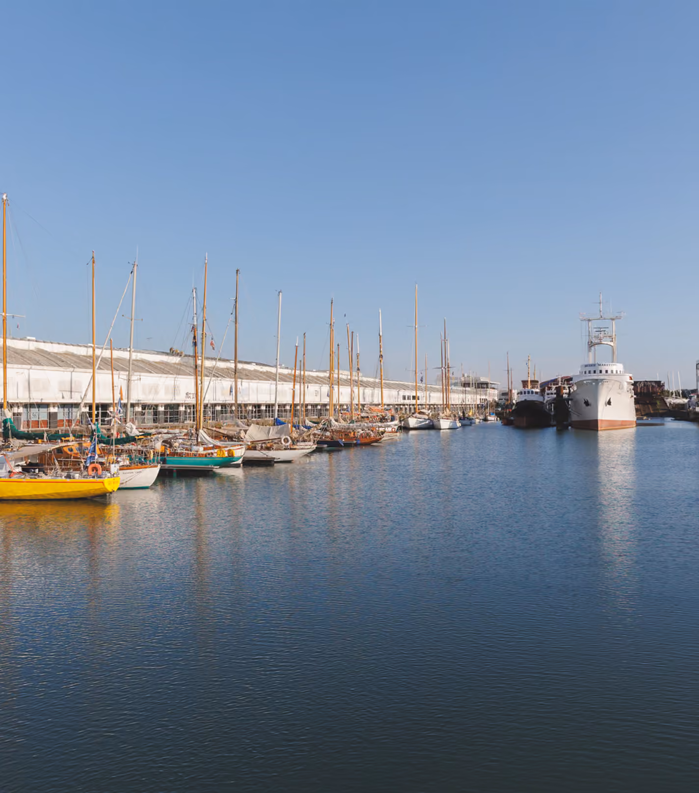 Row of docked sailboats and yachts along a waterfront with clear blue sky and calm water.