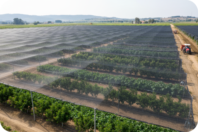 For ornamental plants, horticultural operations and plant-holding environments.