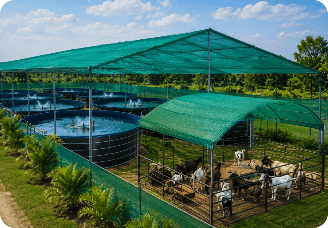 For selected cattle, poultry and animal-care areas requiring shade.