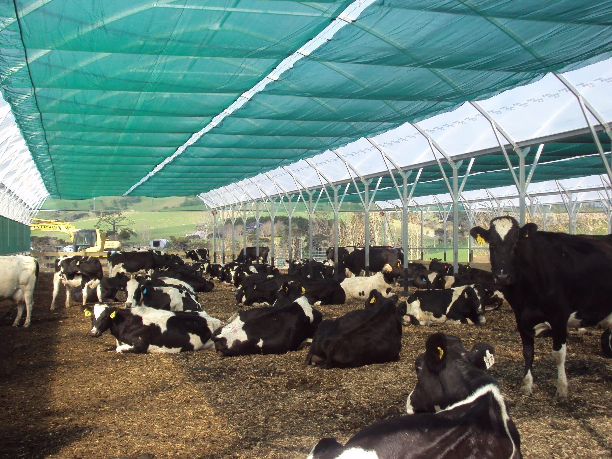 How Shade Nets Support Fish-Farming and Animal-Care Areas
