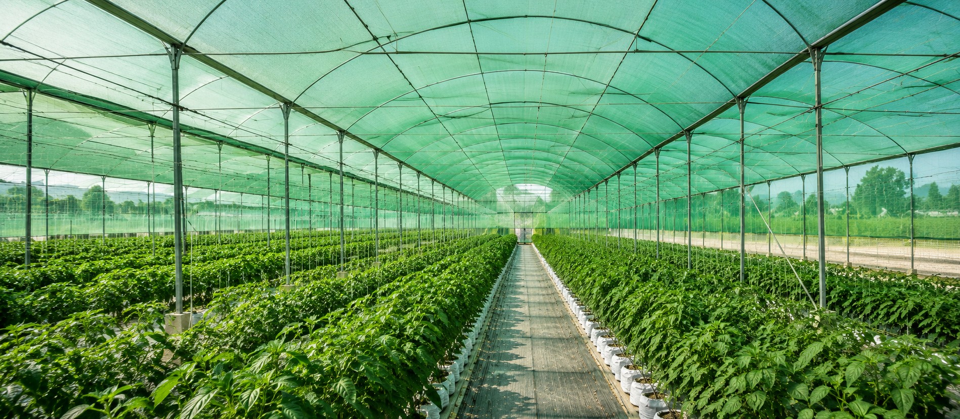 Greenhouse & Polyhouse Net