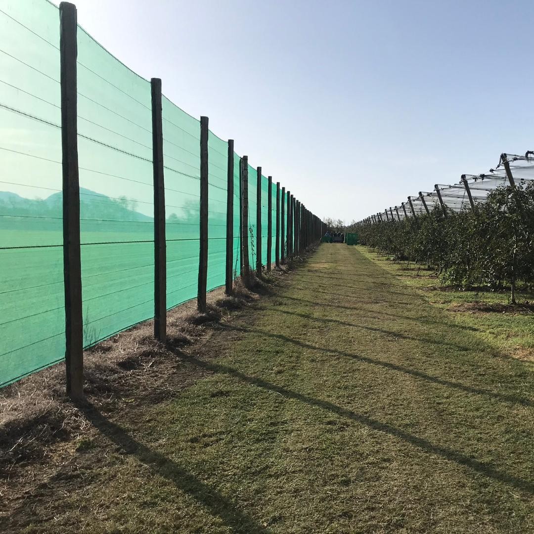 Visual Screening and Covering for Boundary Applications