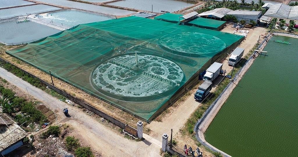 Aquaculture & Animal Husbandry