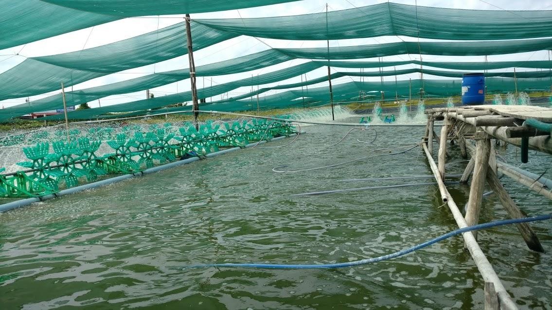 Aquaculture & Animal Husbandry