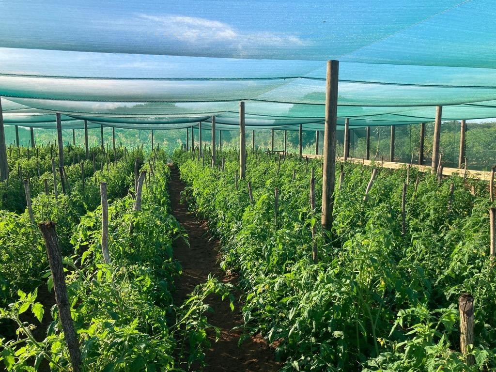 Protective Farming