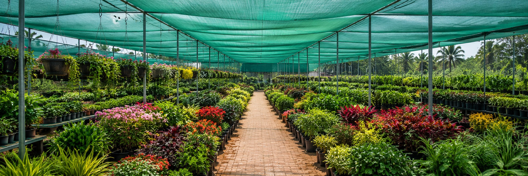 Nursery & Garden