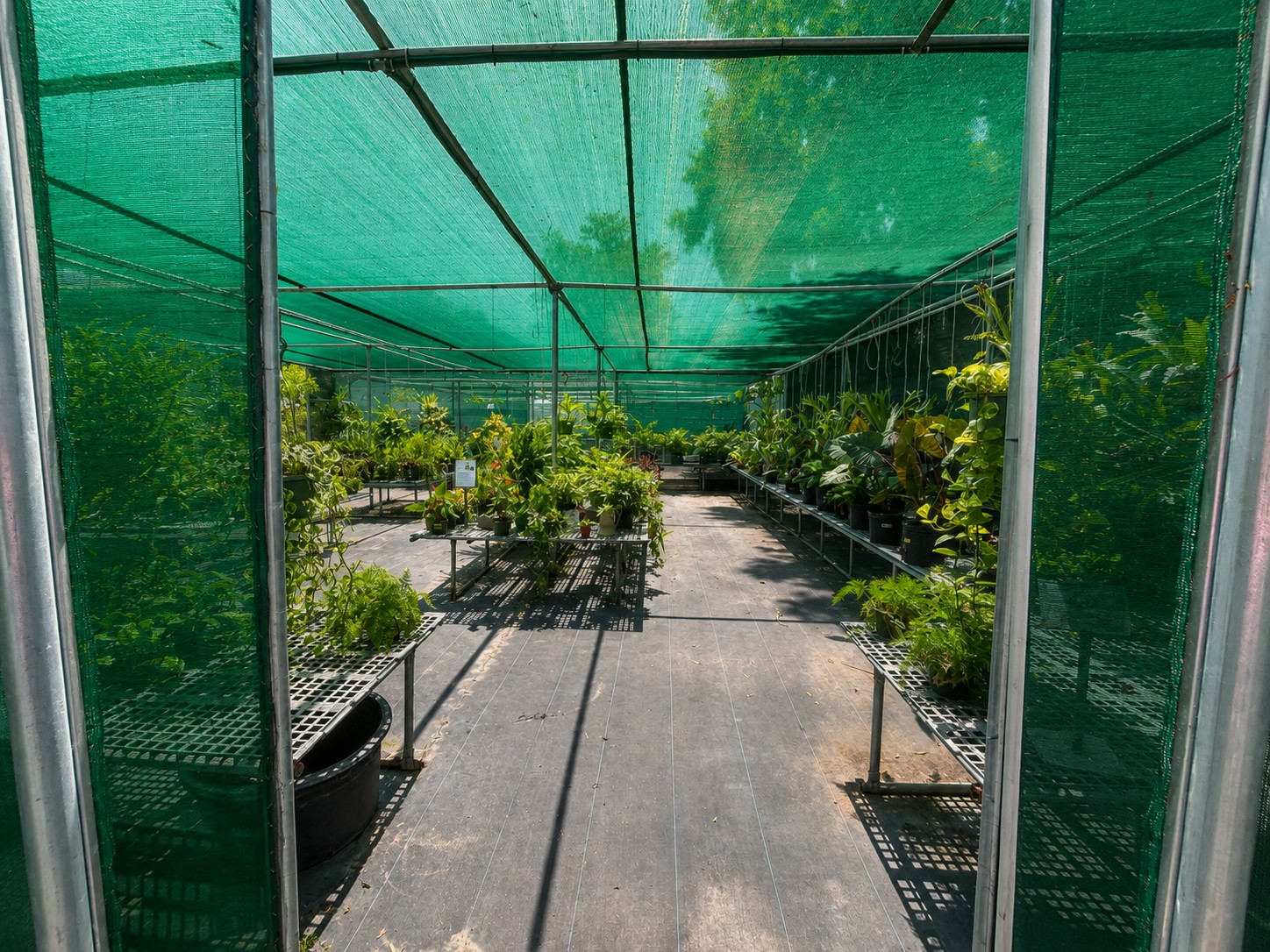 How Shade Nets Support Nurseries, Gardens and Plant Growth