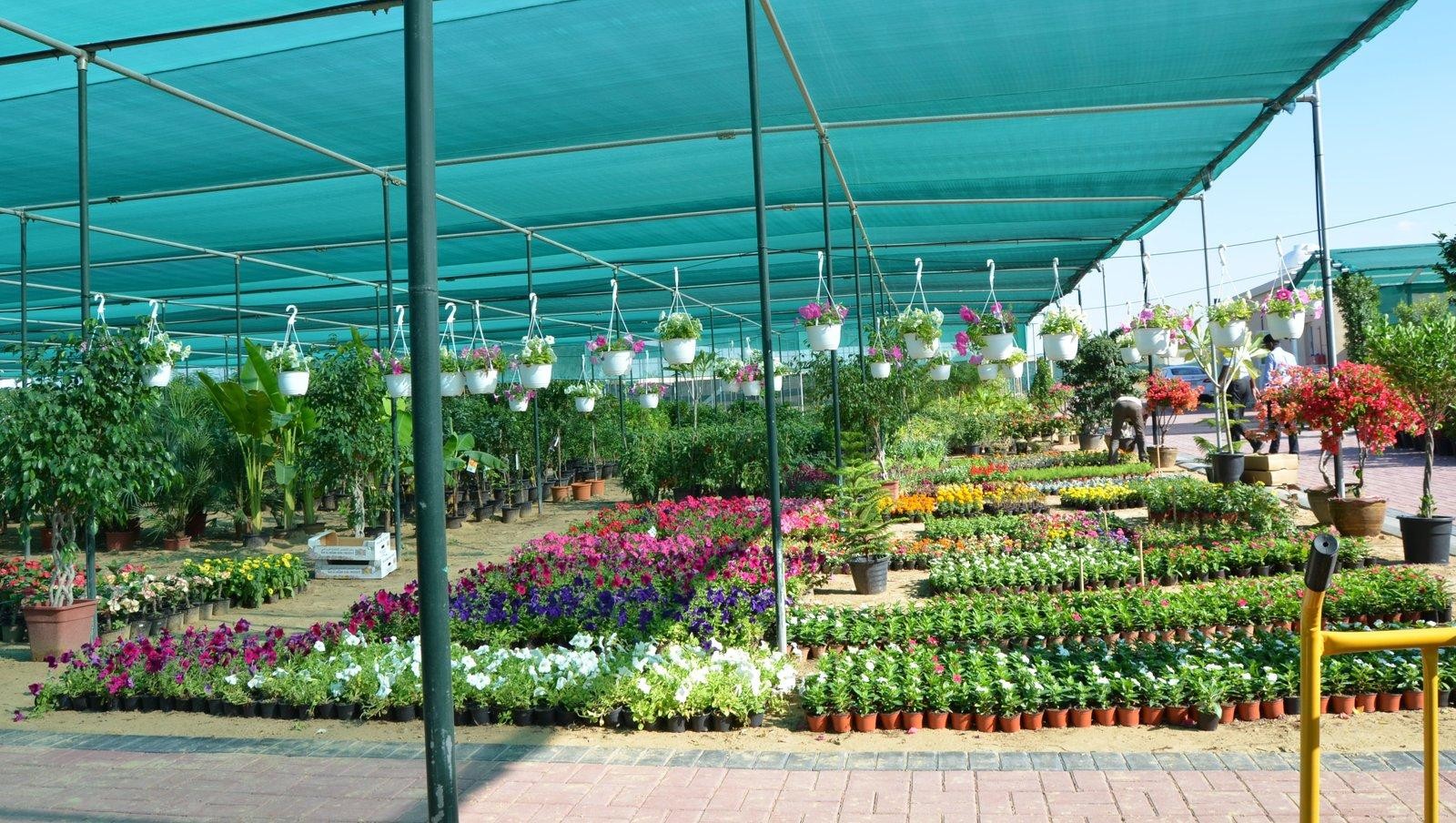 Nursery & Garden