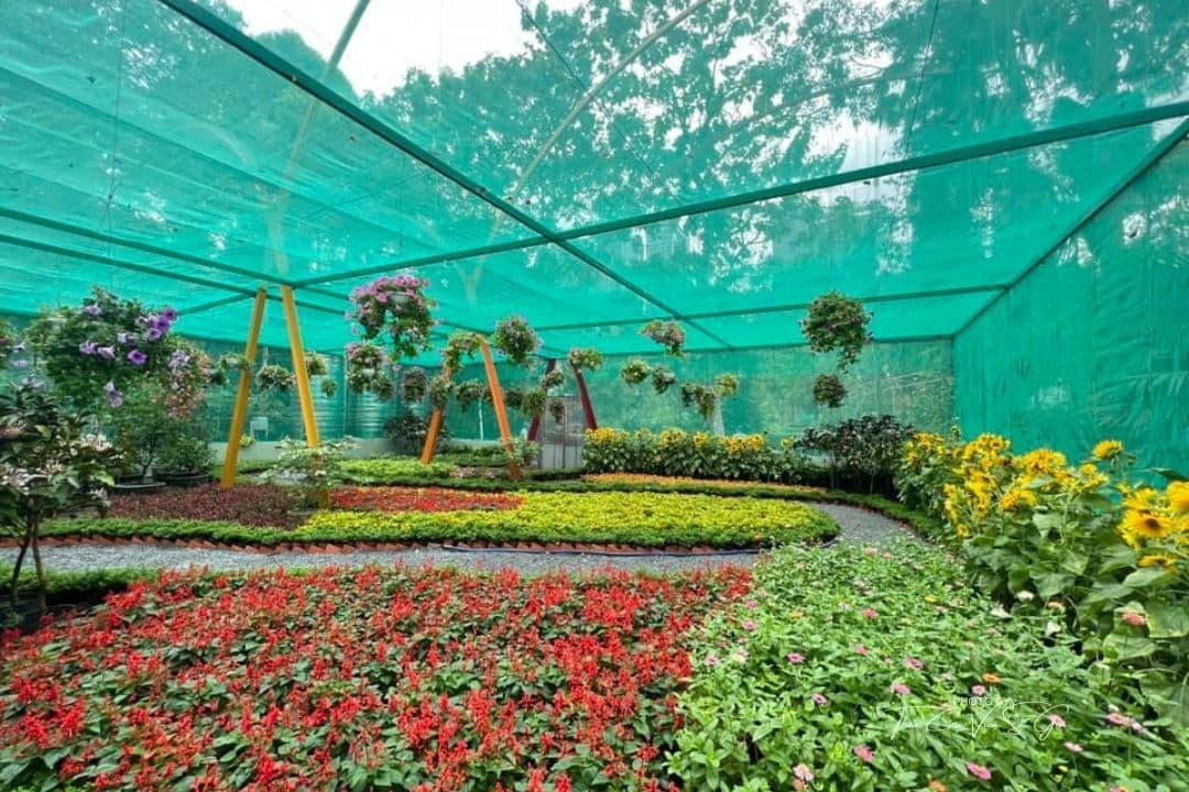 Nursery & Garden
