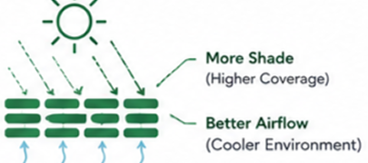 Efficient Shade Coverage