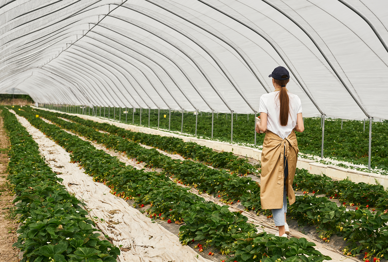 How to Choose the Right Shade Net for Your Application