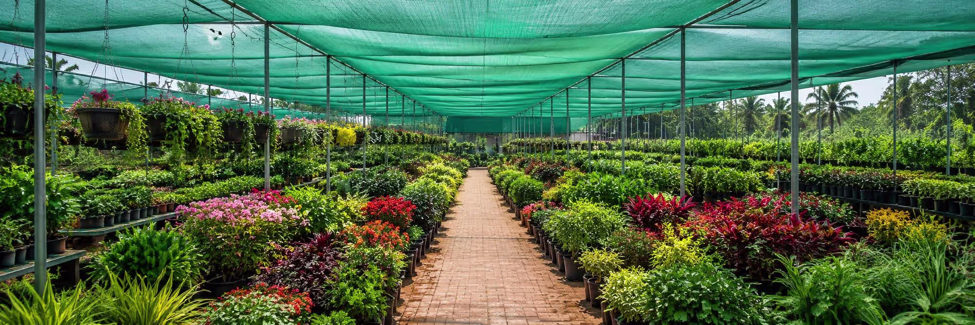 Nursery & Garden