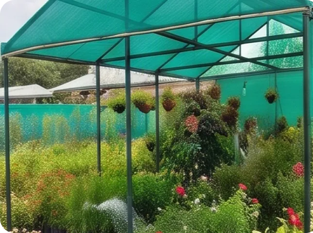 Green shade canopy supported above an outdoor garden area
