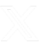 Unique Urban Solutions - X