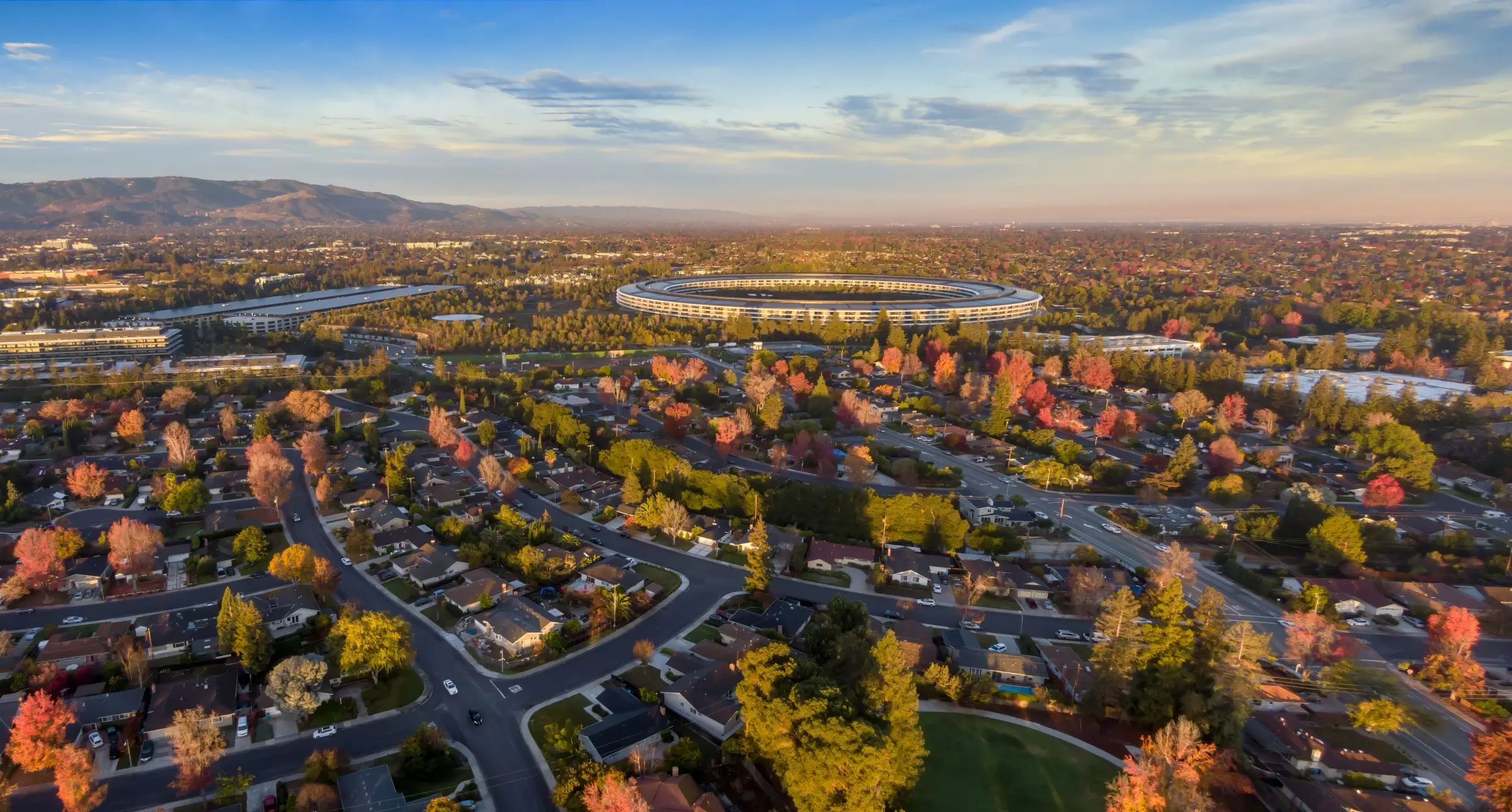 Aerial view of Cupertino, California at golden hour, autumn street trees over quiet neighbourhoods with Apple Park and the foothills beyond