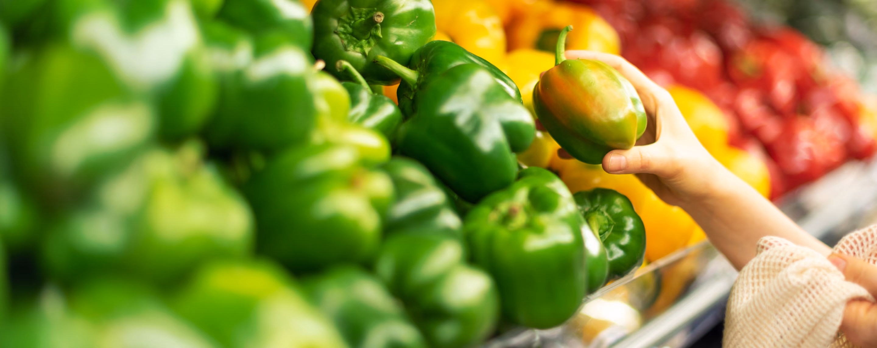 Hand hält grüne Paprika in einem Laden mit grünen, gelben und roten Paprika im Regal.