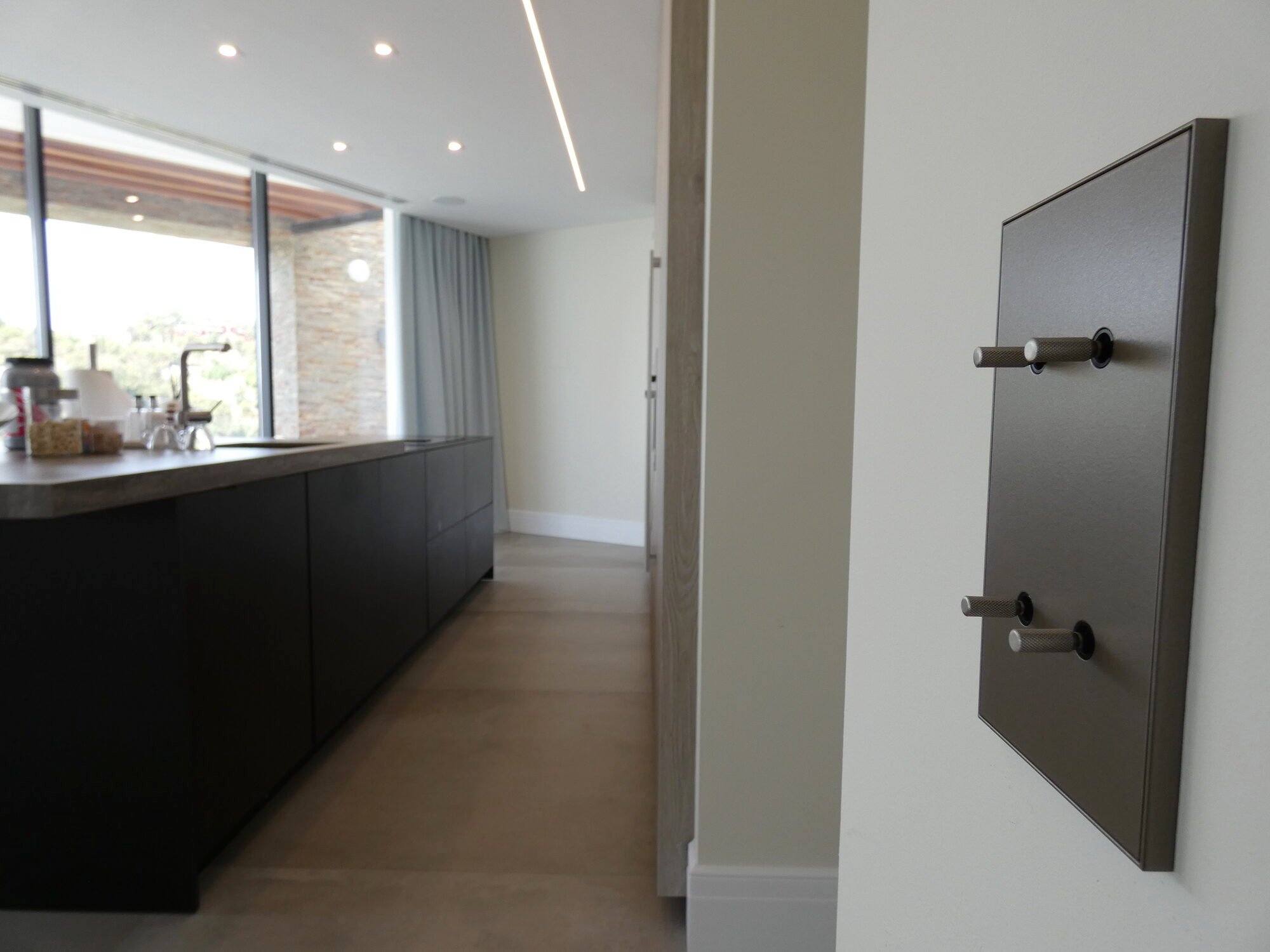 Metal toggle switches beside an open-plan kitchen