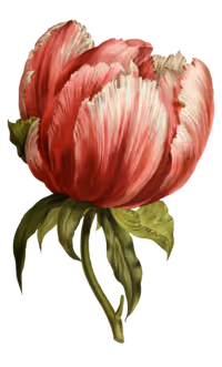 Decorative flower