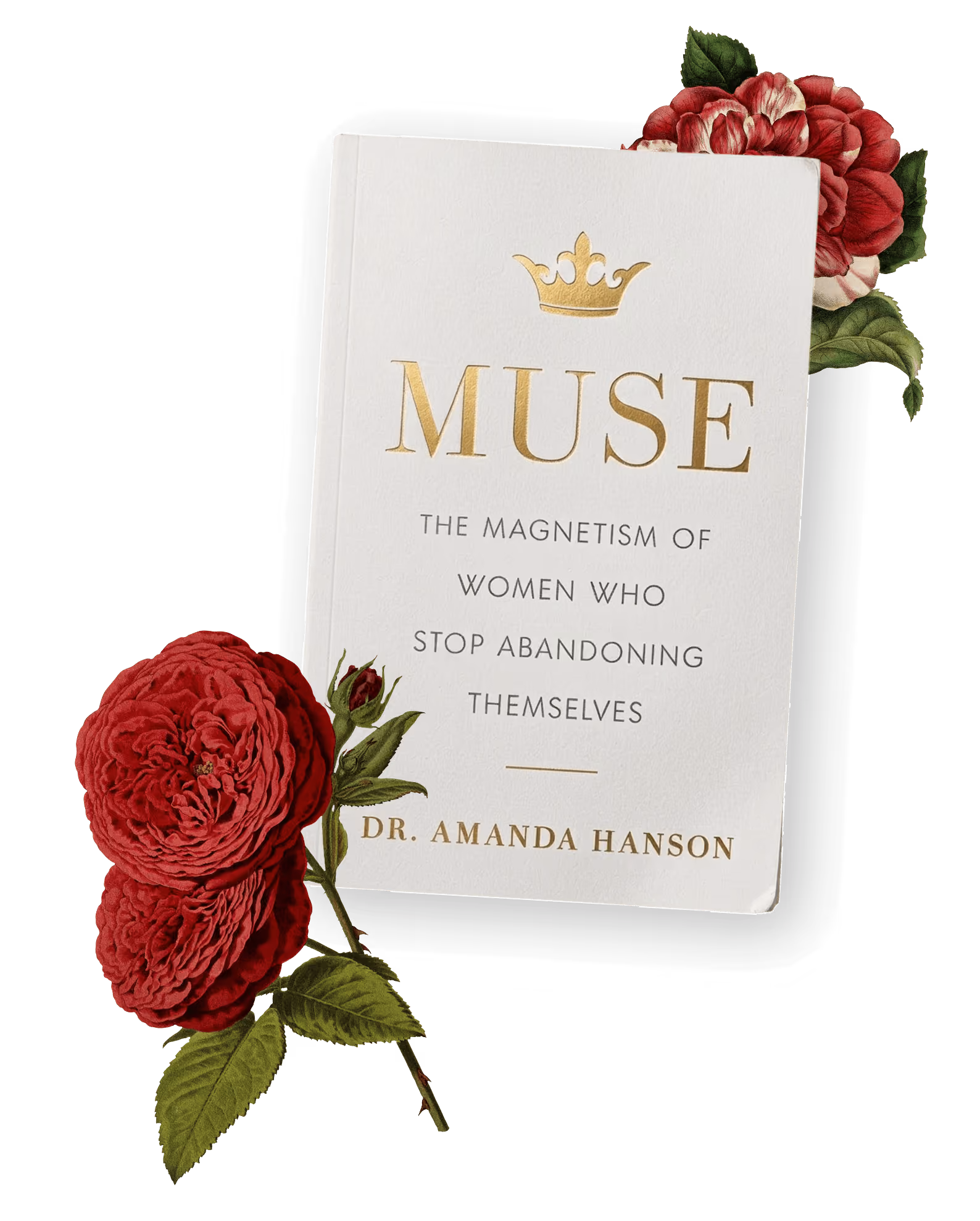 MUSE book cover by Dr. Amanda Hanson