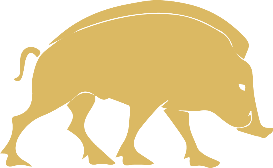 Golden Bristle boar