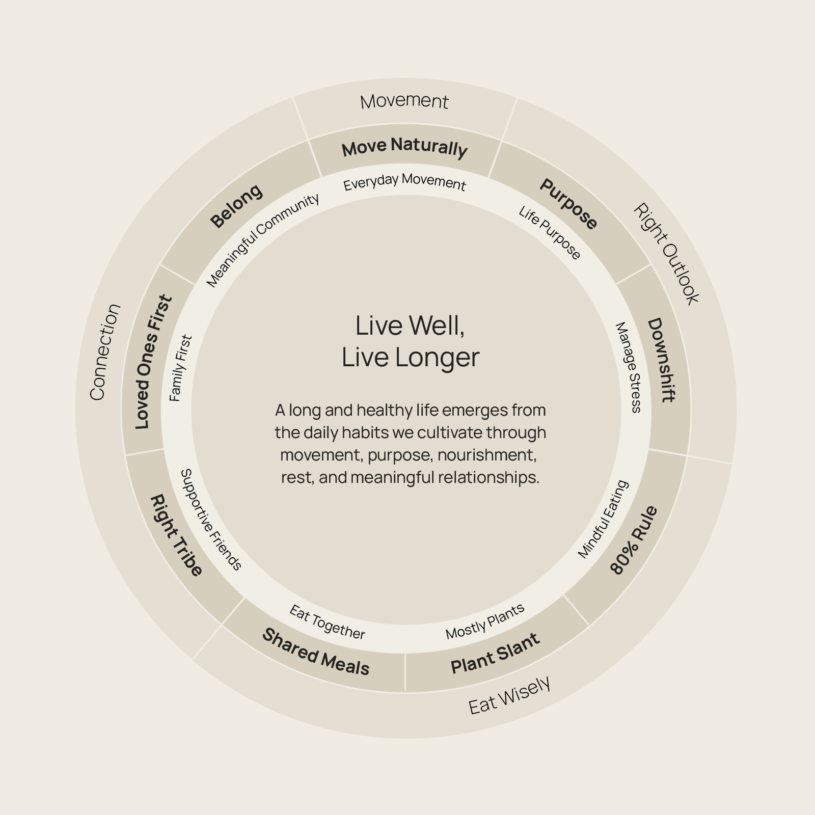 The Nine Habits of Longevity - Explanatory Visual Diagram