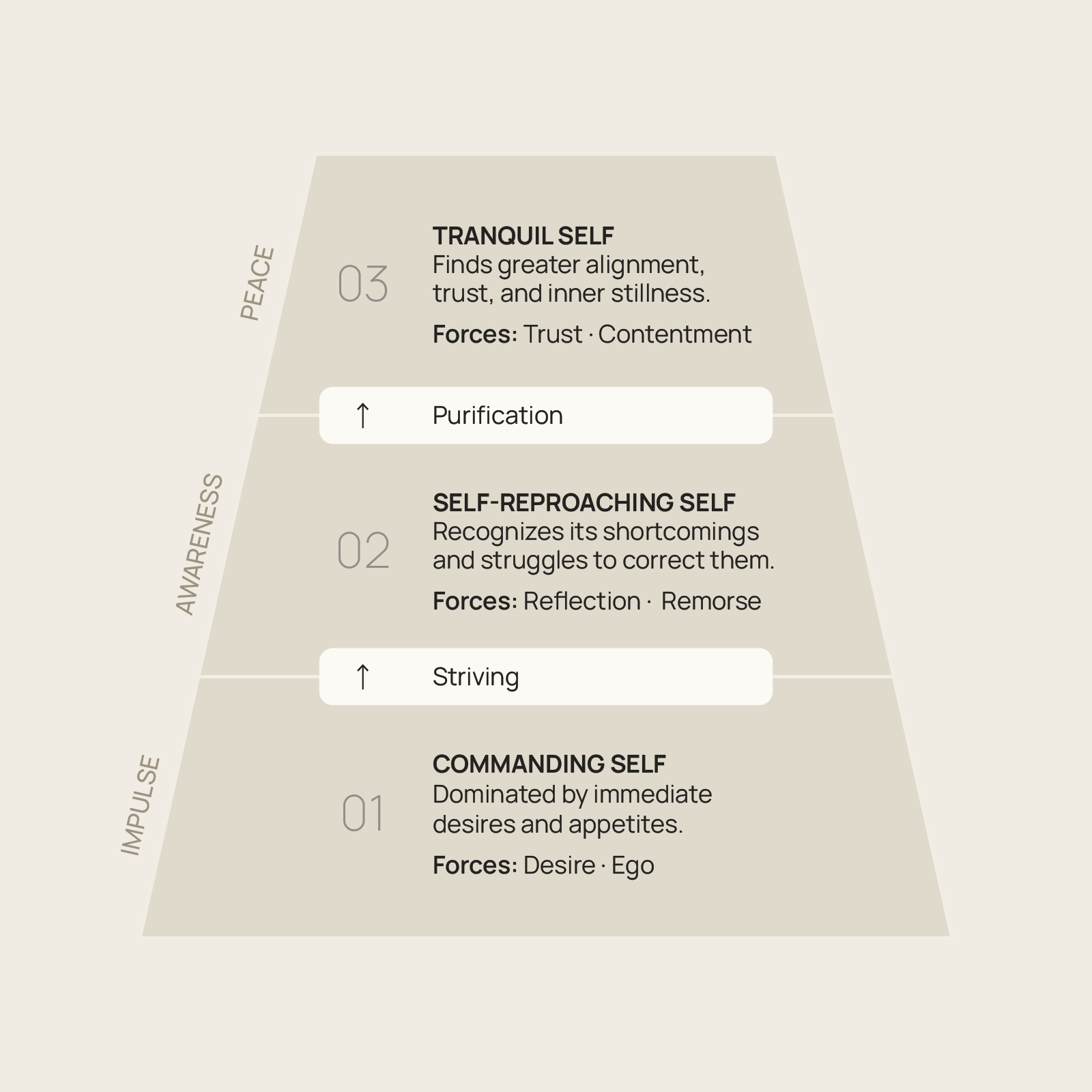 The Three States of the Self - Explanatory Visual Diagram