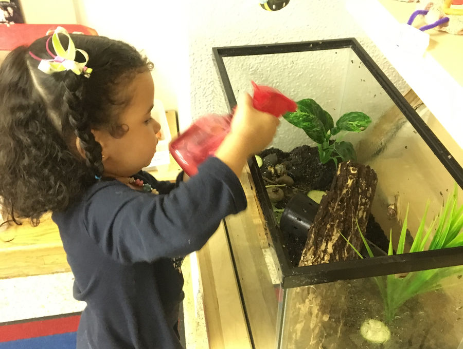 A child examining plants in a terrarium