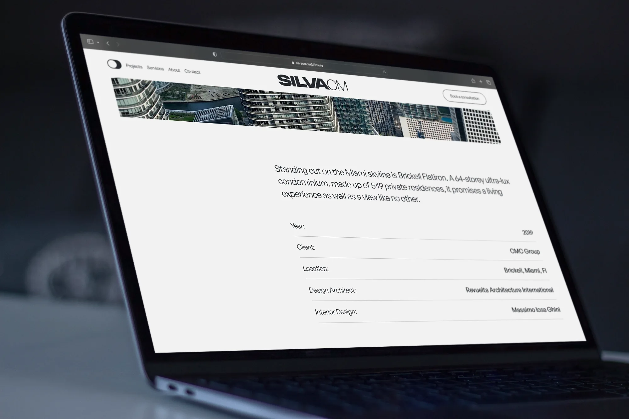 Silva CM website project info section.