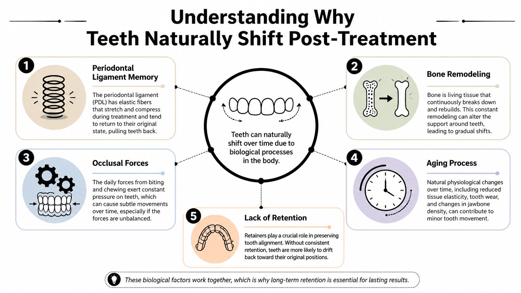 An infographic explaining five biological and environmental reasons why teeth naturally shift after orthodontic treatment.