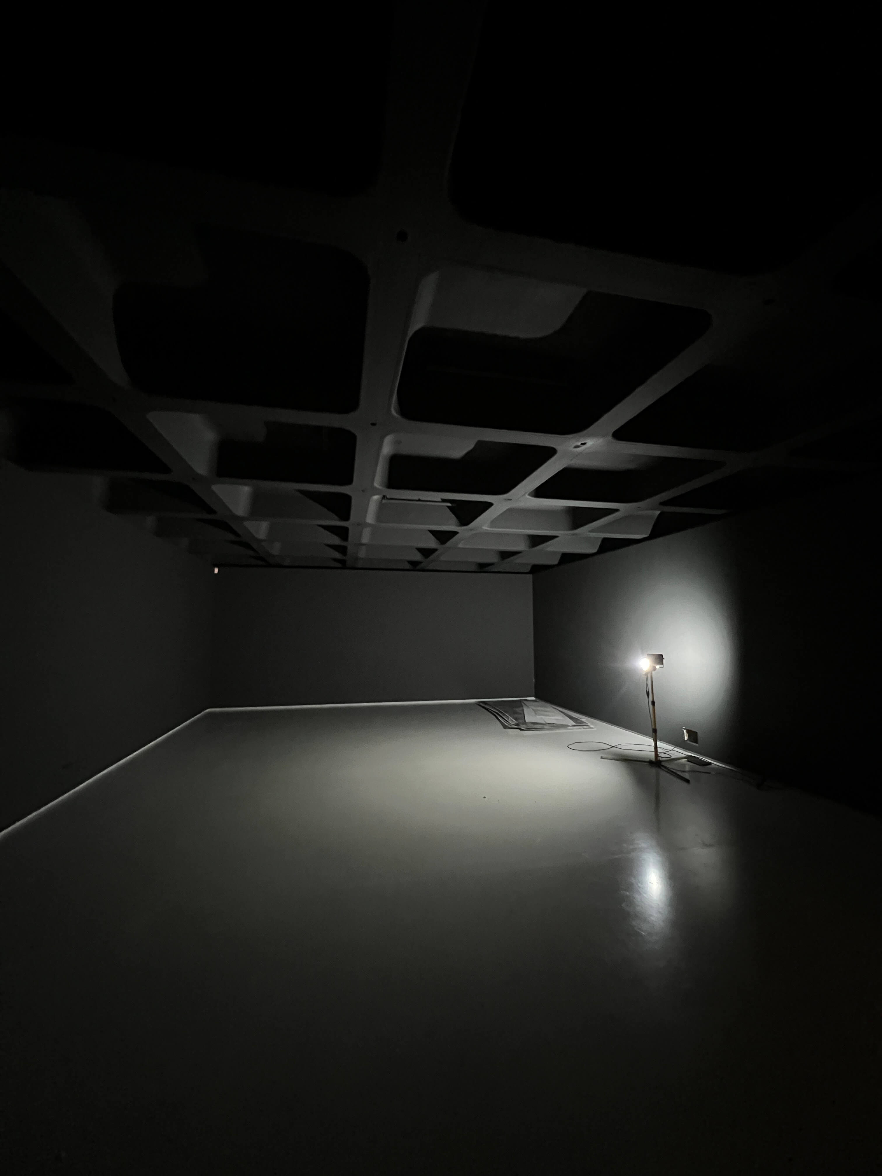Dark gallery interior with a black coffered ceiling and a temporary work light.