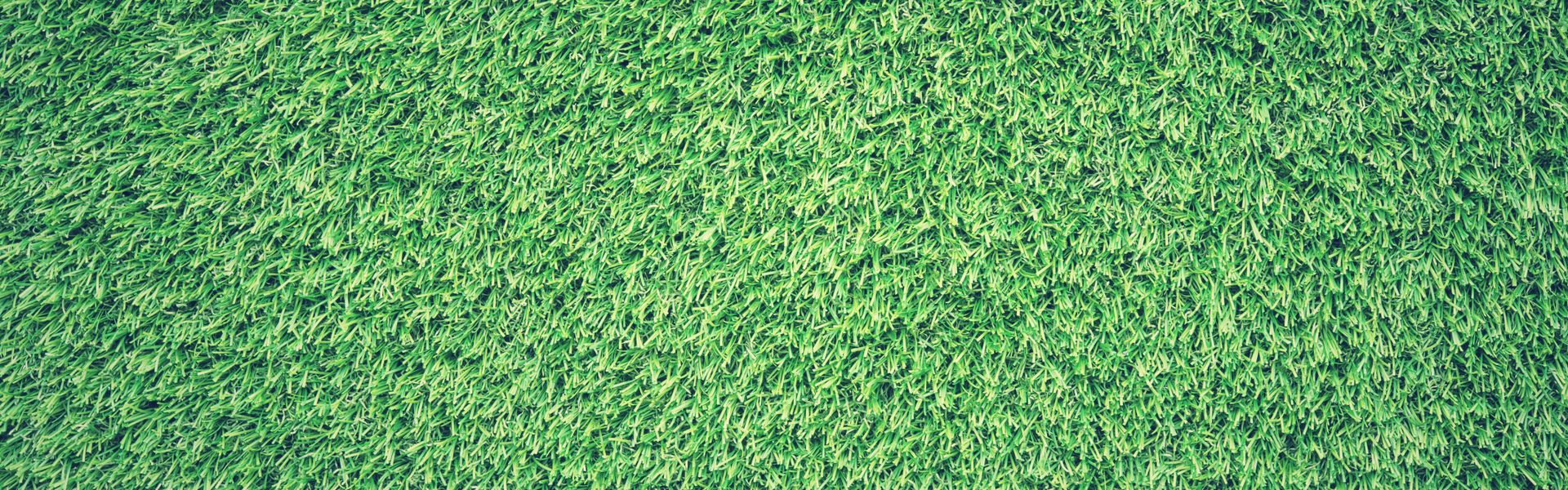 Lush green grass lawn