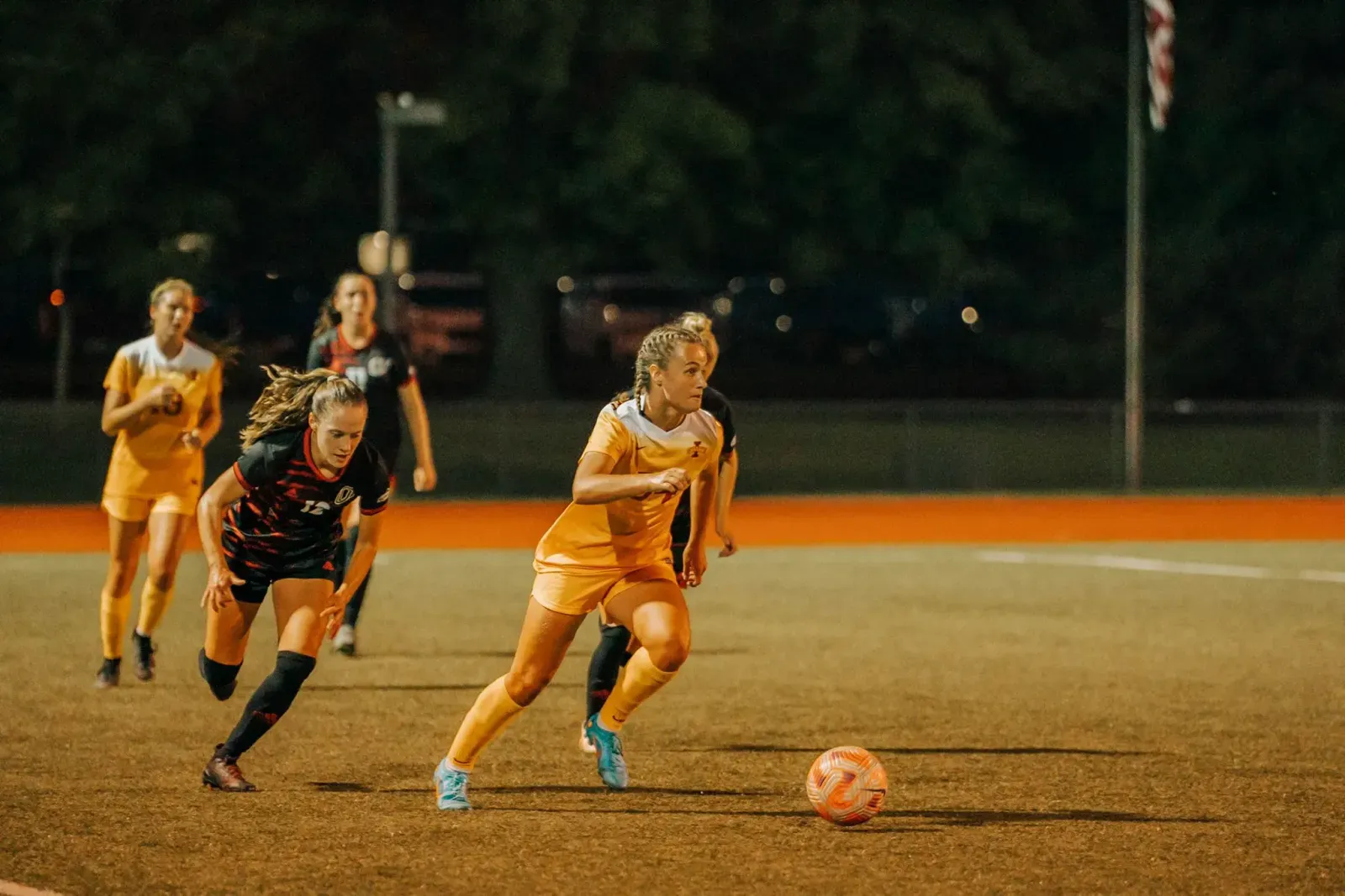 femke pietersma - iowa state university