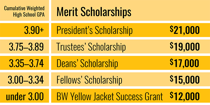 Academic Scholarships Example at Syracuse University