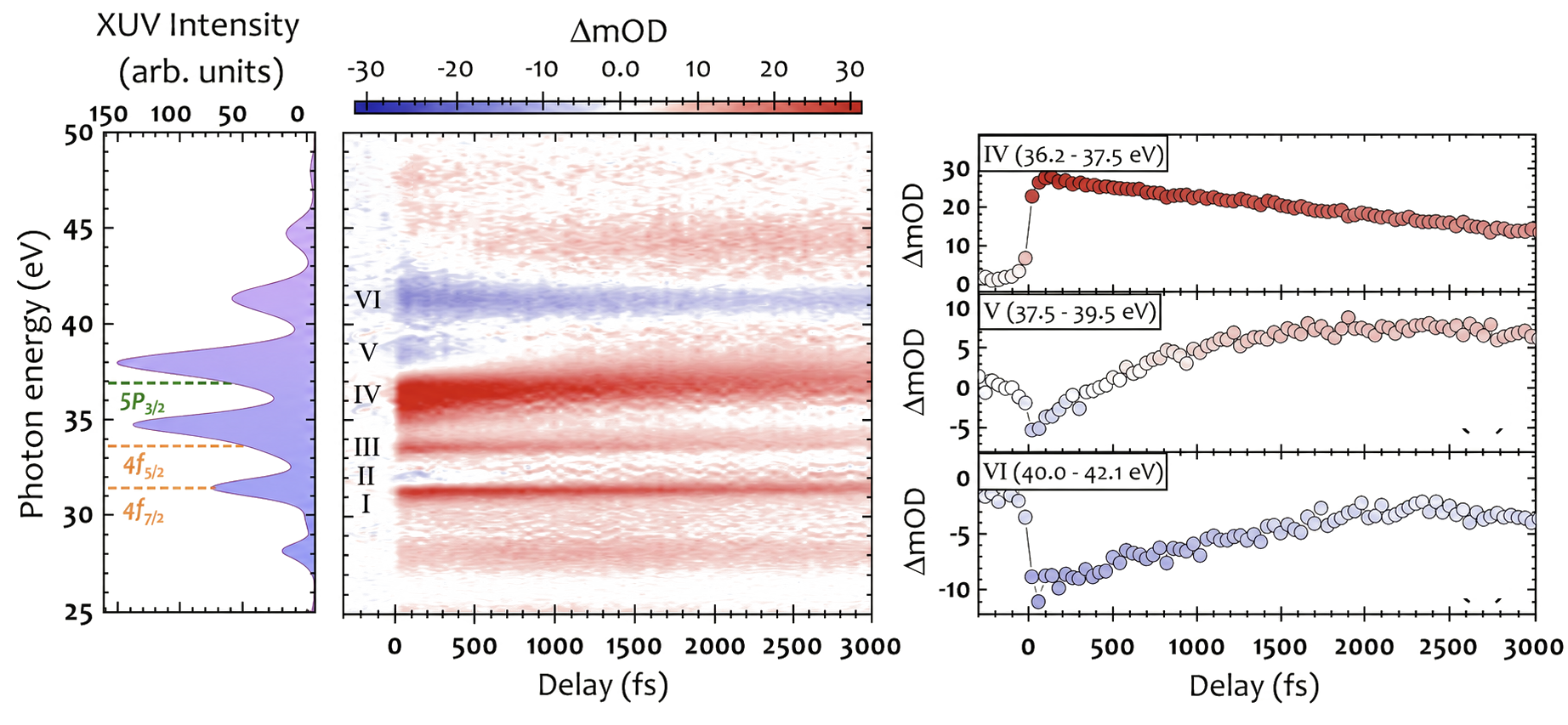 Ultrafast indepent-to-correlated electron transition in large spin-orbit torque transition metal
