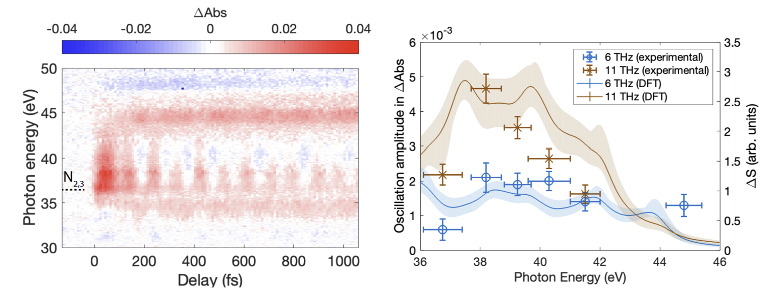 Separating the simultaneous yet unique impacts of different phonon modes on electronic structure 