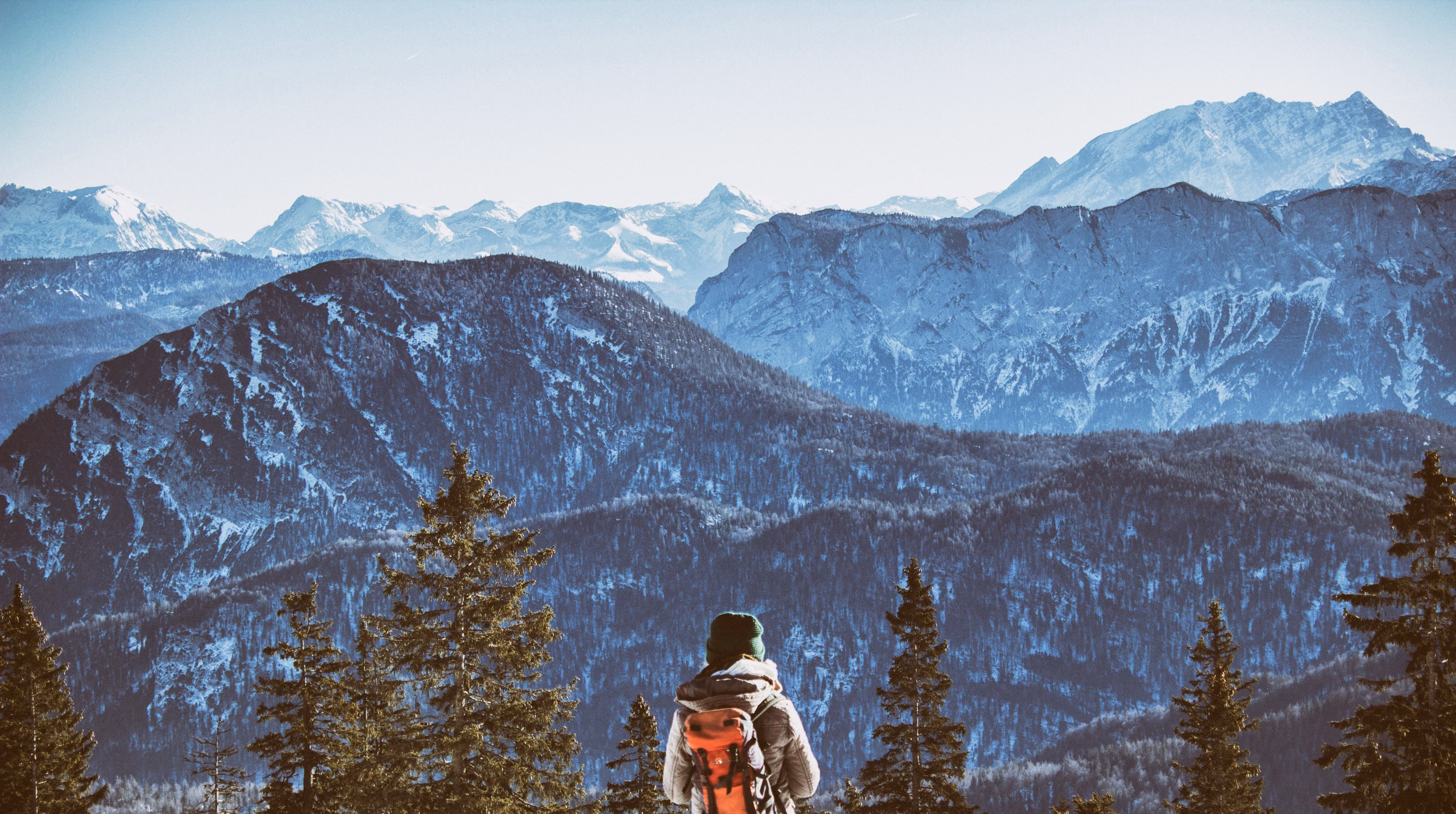 Person with a backpack looking at snowy forested mountains under a clear sky.