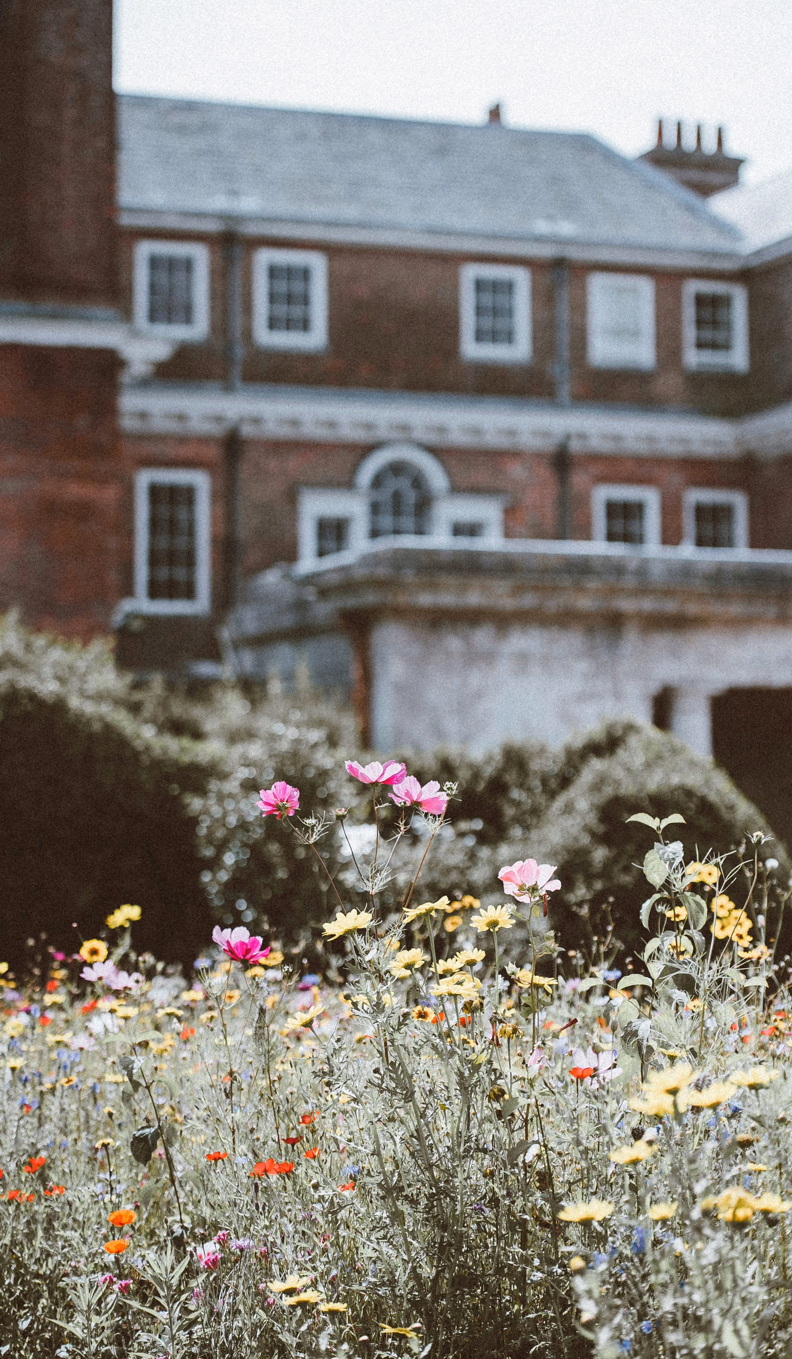 Wildflower meadow with pink, yellow, and red flowers in front of an old brick building.