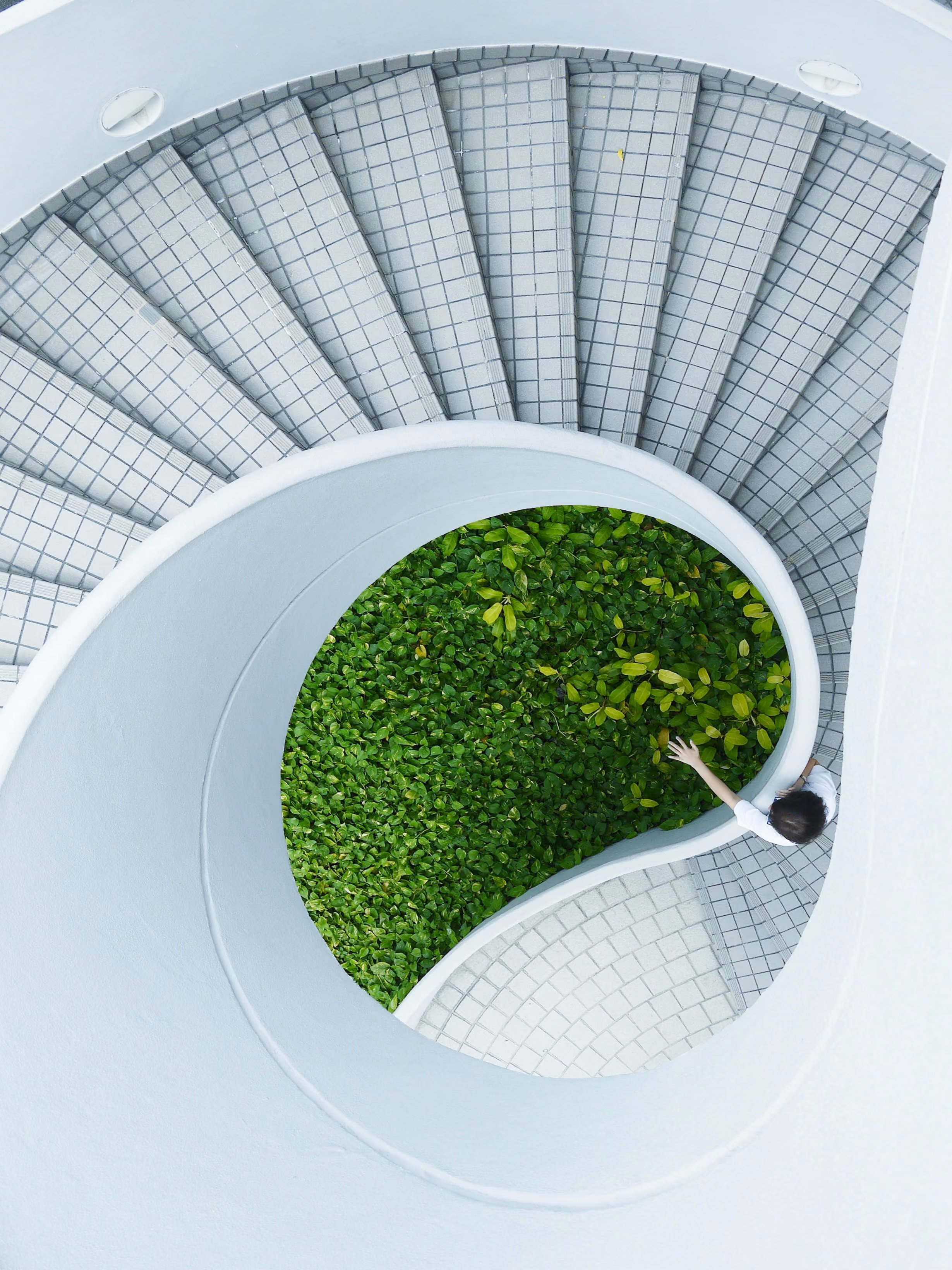 Top view of a spiral staircase surrounding a green garden, with a person reaching toward the plants.