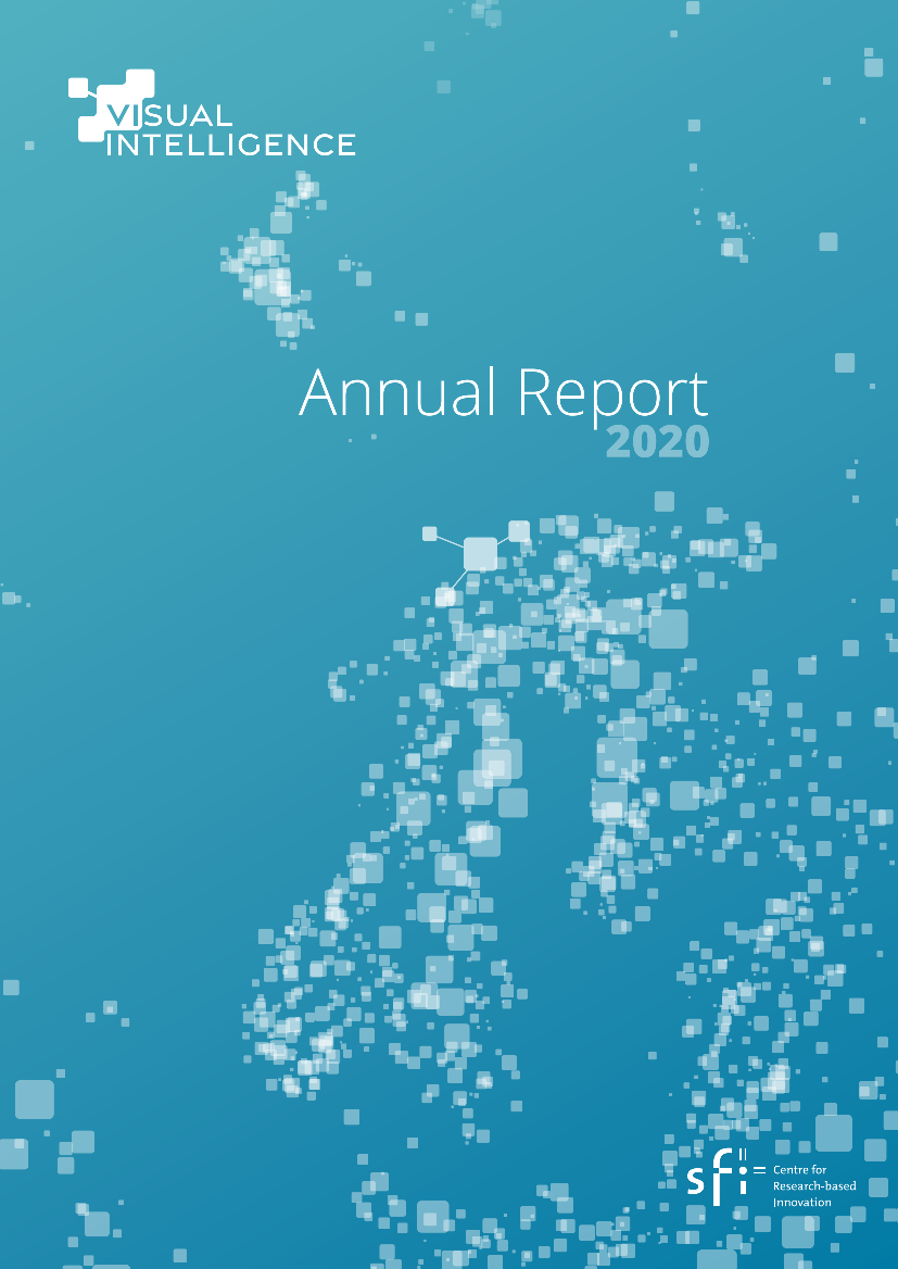 Visual Intelligence annual report 2020 cover.