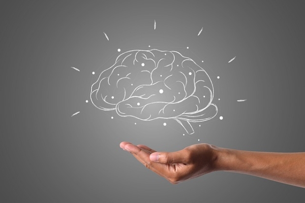 cerveau