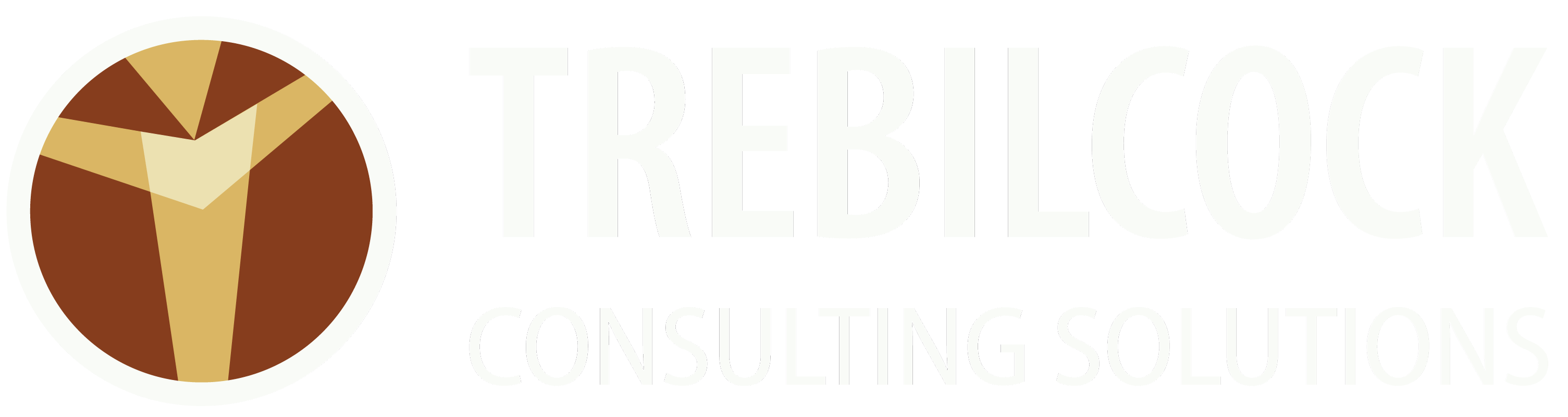 Footer Logo