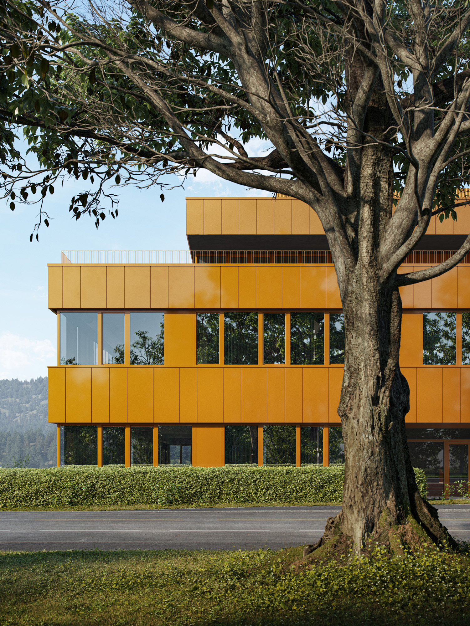 Large tree in front of a modern orange building with reflective windows and green hedges.