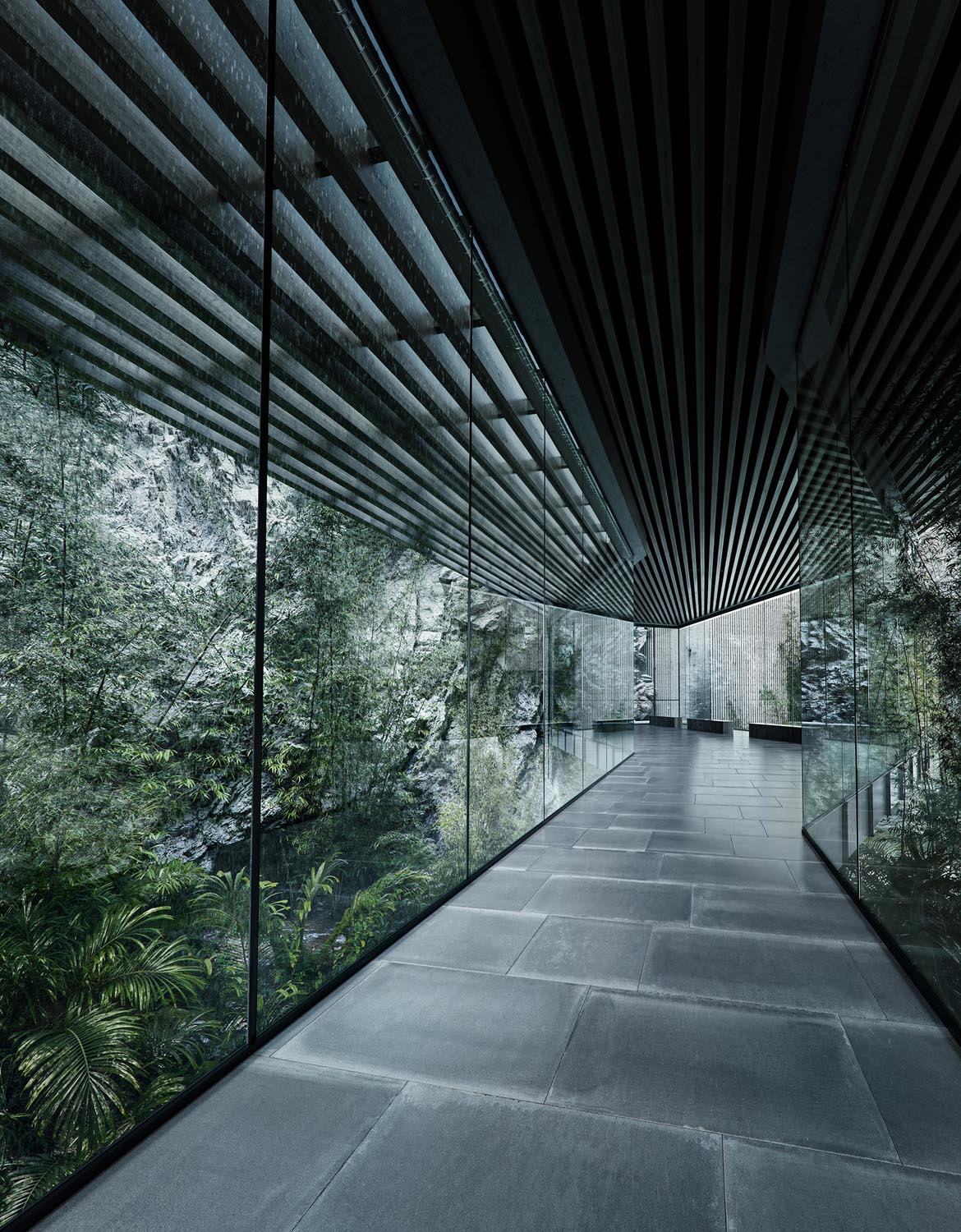 Minimalist glass corridor with a dark slatted ceiling, surrounded by dense green woodland.