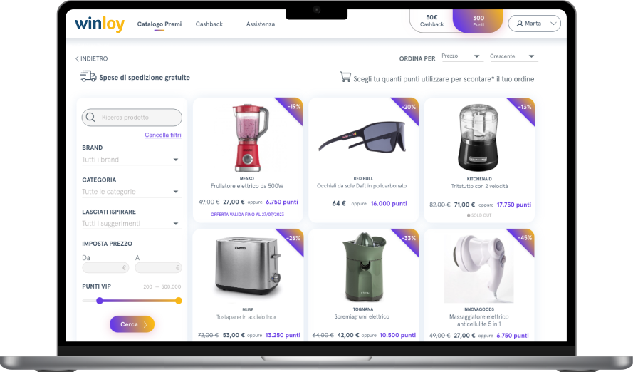 Anteprima della piattaforma Winloy su computer