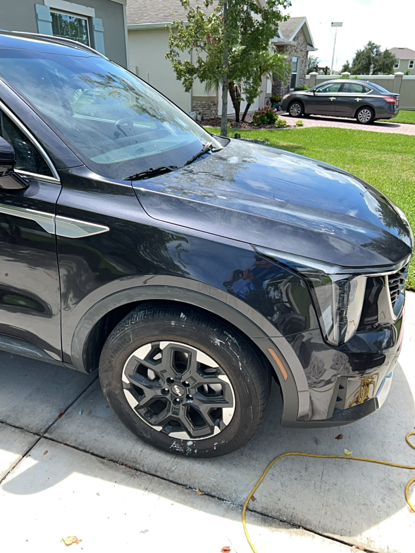 passenger front fender after repair in Wesley Chapel