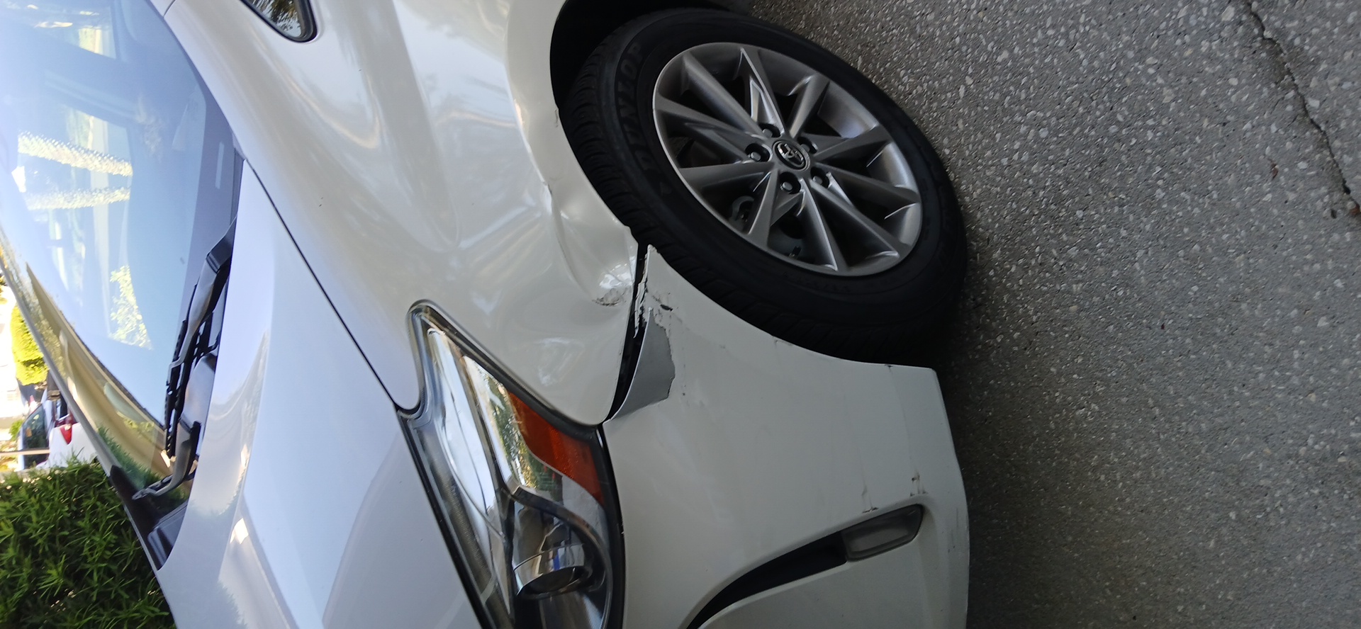 front bumper corner before repair in Lutz