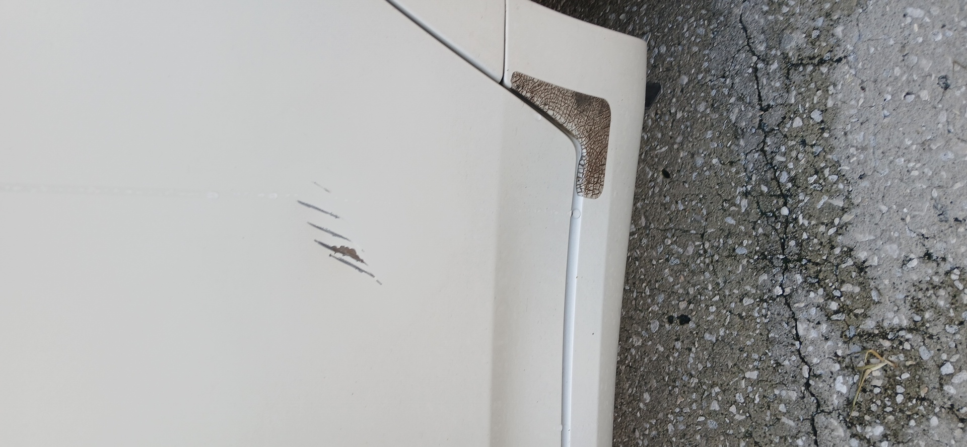 rear door before repair in Zephyrhills