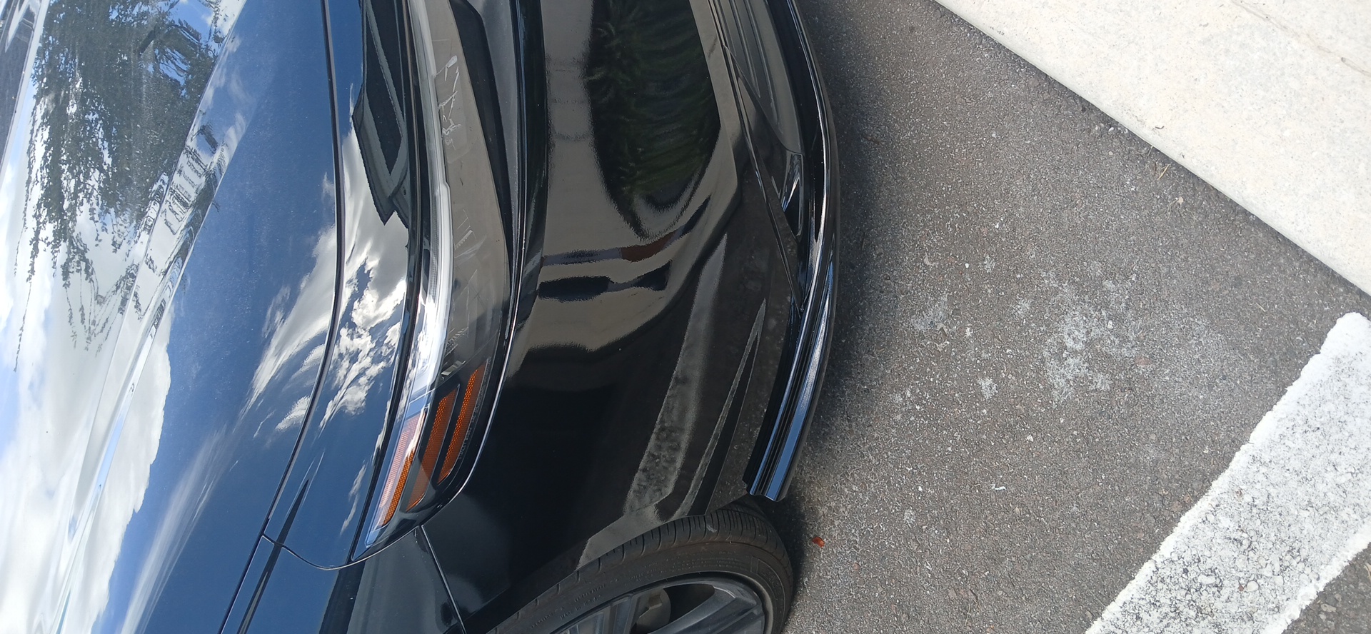 front bumper after repair in Wesley Chapel