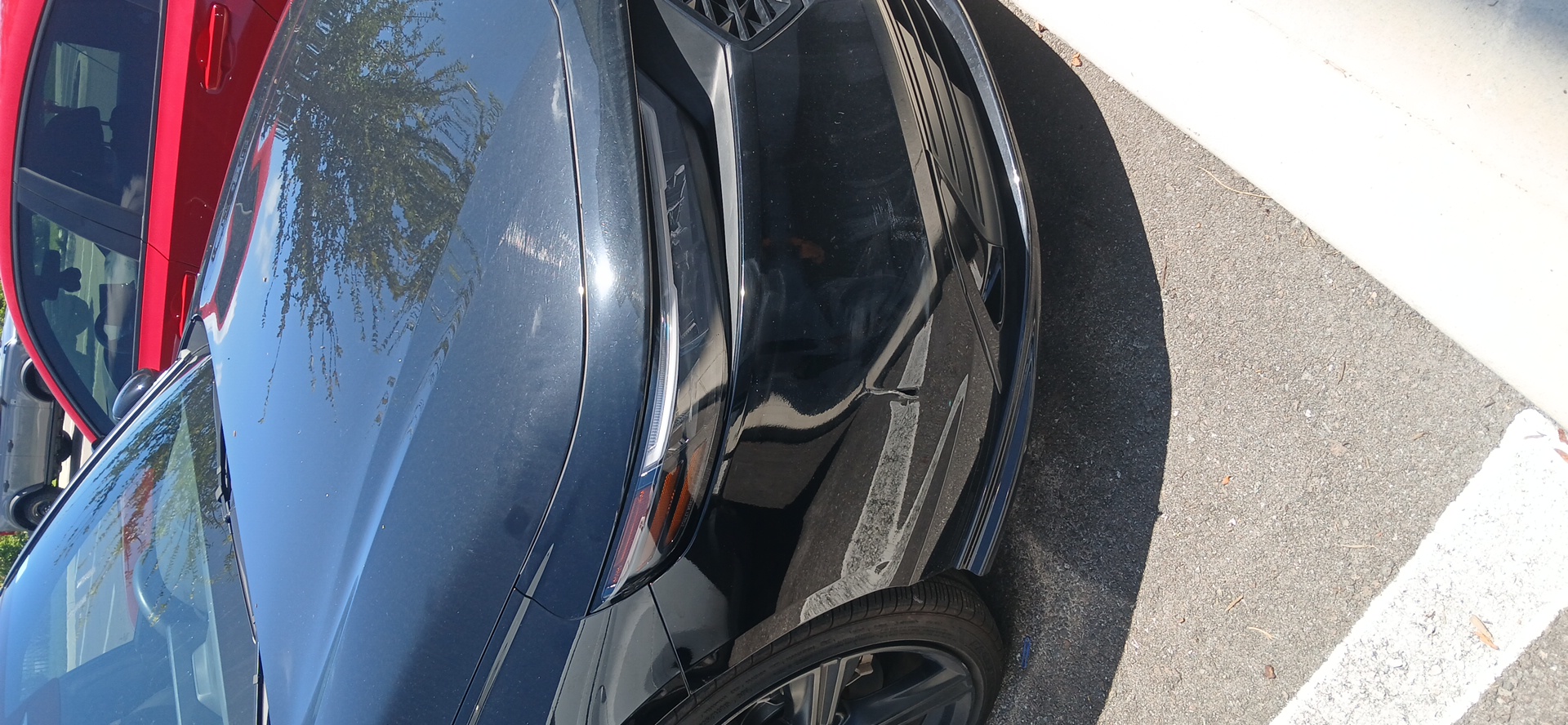 front bumper before repair in Wesley Chapel