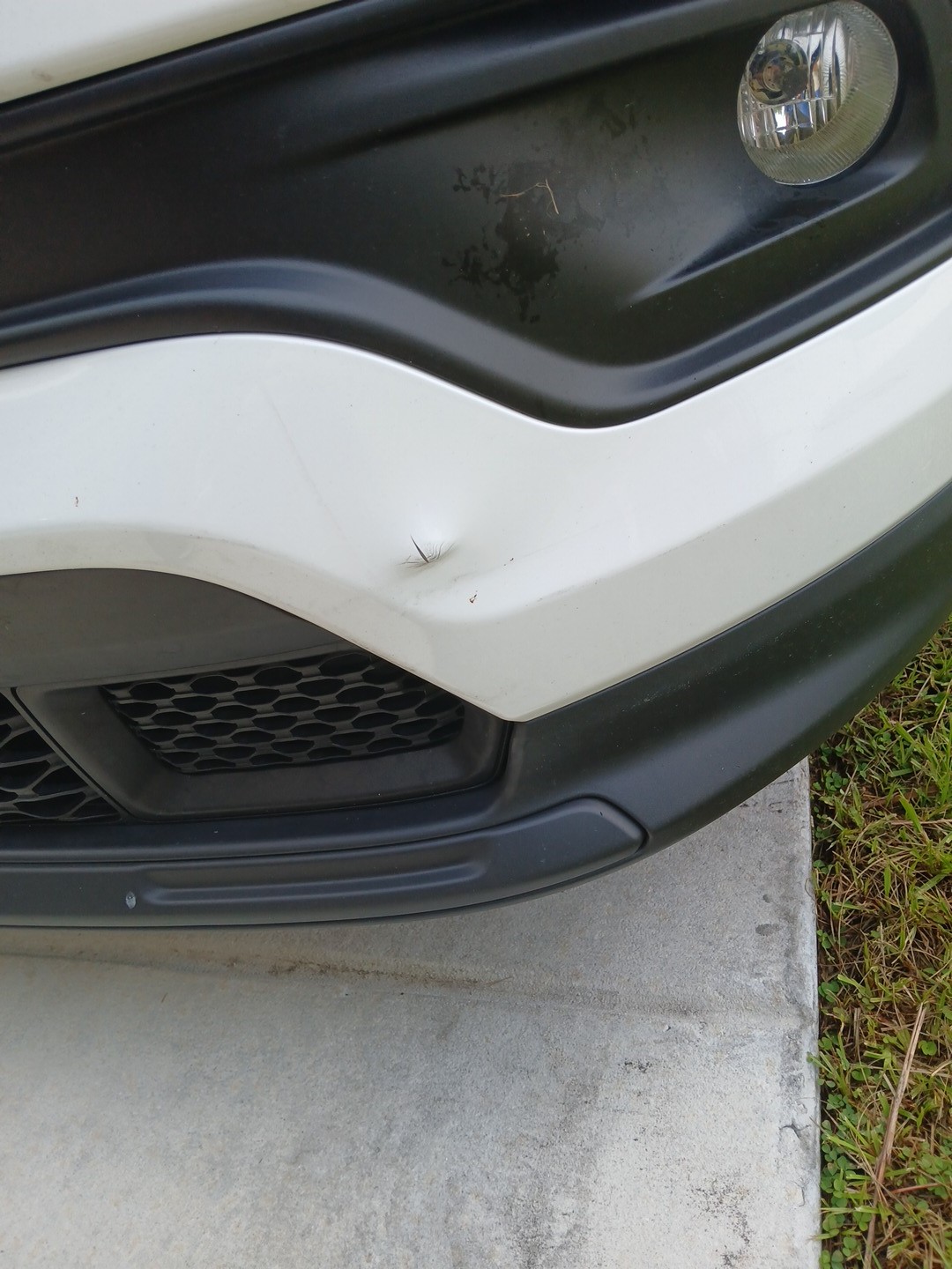 front bumper corner before repair in Zephyrhills